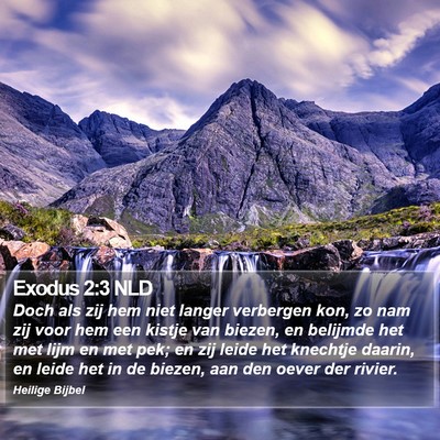 Exodus 2:3 NLD Bible Verse Image