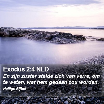 Exodus 2:4 NLD Bible Verse Image