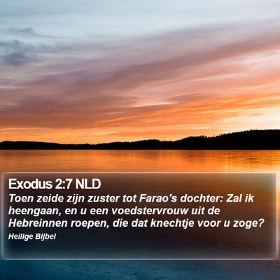 Exodus 2:7 NLD Bible Verse Image