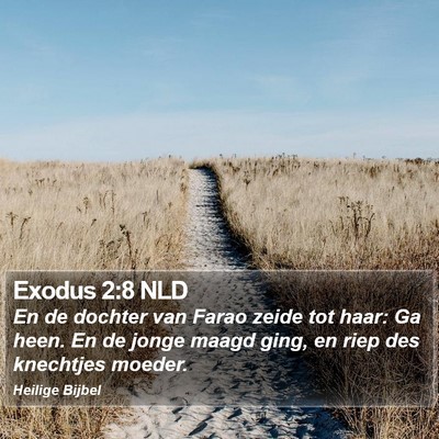 Exodus 2:8 NLD Bible Verse Image