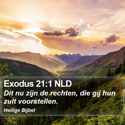 Exodus 21:1 NLD Bible Verse Image