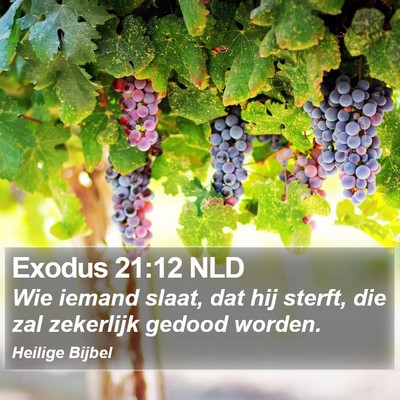 Exodus 21:12 NLD Bible Verse Image