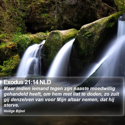 Exodus 21:14 NLD Bible Verse Image