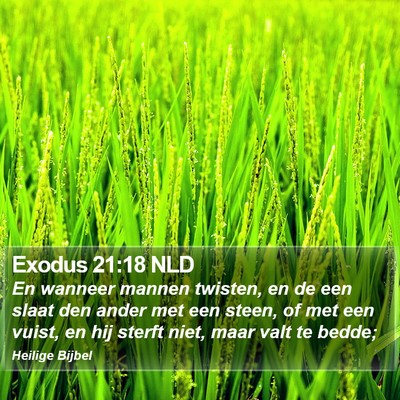 Exodus 21:18 NLD Bible Verse Image
