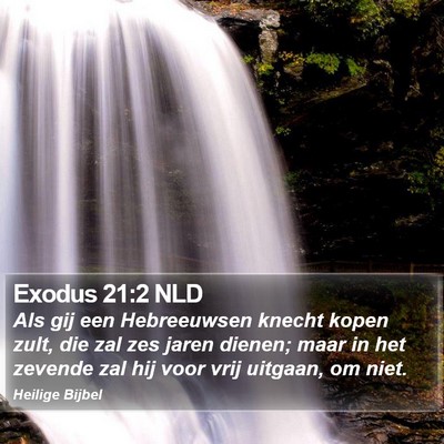 Exodus 21:2 NLD Bible Verse Image