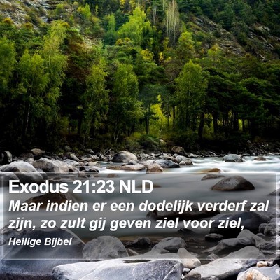 Exodus 21:23 NLD Bible Verse Image