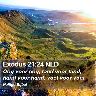 Exodus 21:24 NLD Bible Verse Image