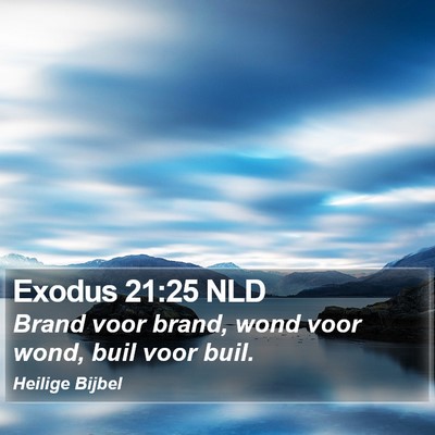 Exodus 21:25 NLD Bible Verse Image
