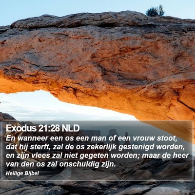 Exodus 21:28 NLD Bible Verse Image