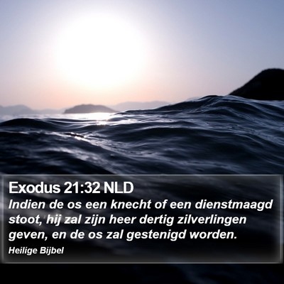 Exodus 21:32 NLD Bible Verse Image
