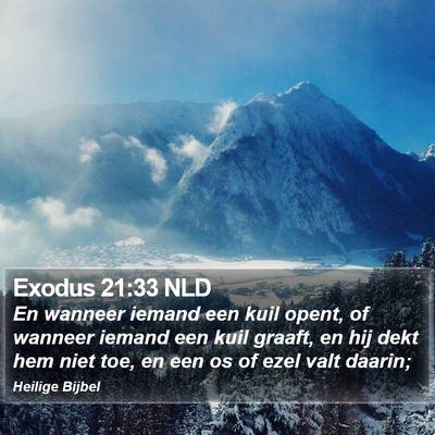 Exodus 21:33 NLD Bible Verse Image