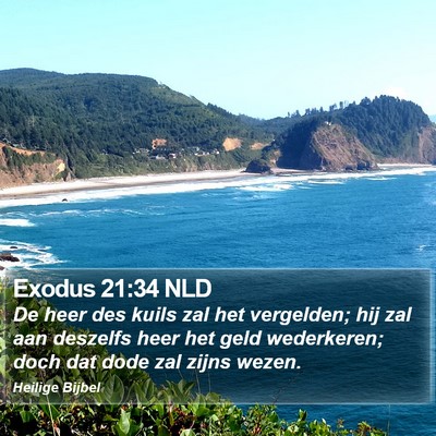 Exodus 21:34 NLD Bible Verse Image