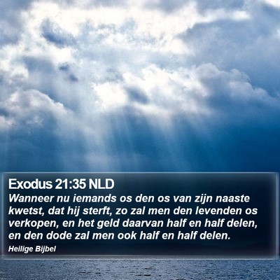 Exodus 21:35 NLD Bible Verse Image