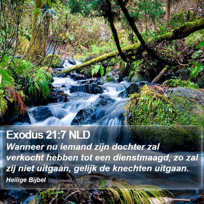 Exodus 21:7 NLD Bible Verse Image