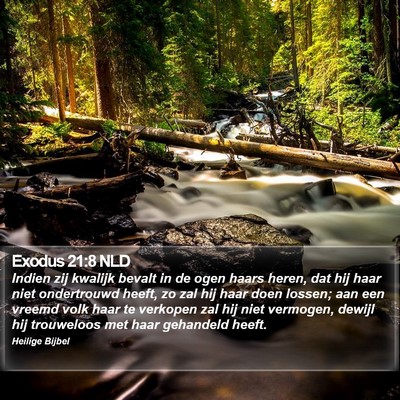 Exodus 21:8 NLD Bible Verse Image