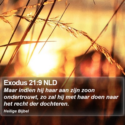 Exodus 21:9 NLD Bible Verse Image