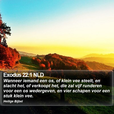 Exodus 22:1 NLD Bible Verse Image