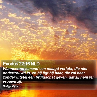 Exodus 22:16 NLD Bible Verse Image