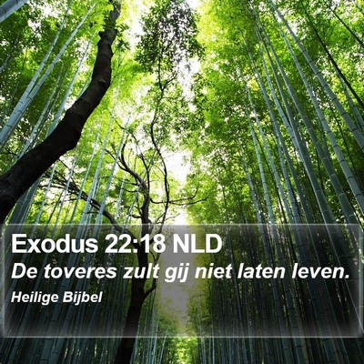 Exodus 22:18 NLD Bible Verse Image