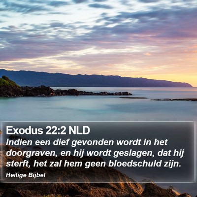 Exodus 22:2 NLD Bible Verse Image