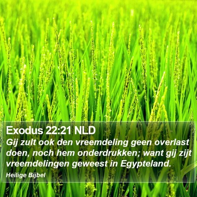 Exodus 22:21 NLD Bible Verse Image