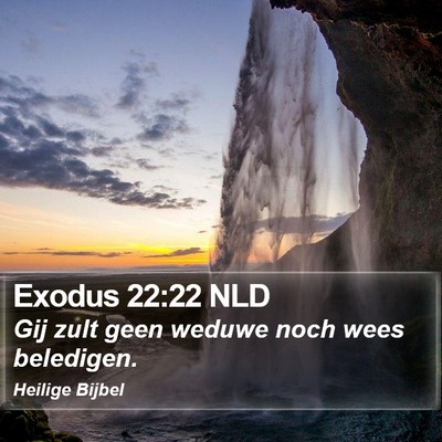 Exodus 22:22 NLD Bible Verse Image