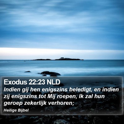 Exodus 22:23 NLD Bible Verse Image