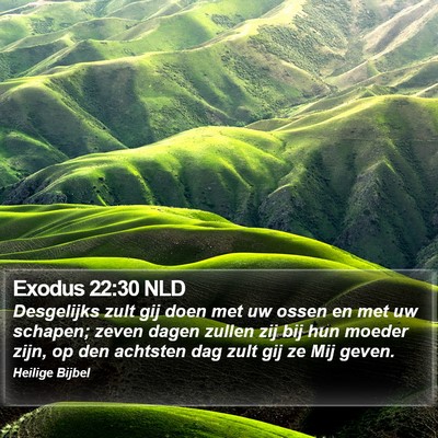 Exodus 22:30 NLD Bible Verse Image