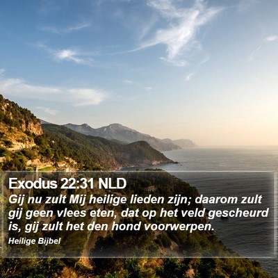 Exodus 22:31 NLD Bible Verse Image