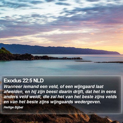 Exodus 22:5 NLD Bible Verse Image