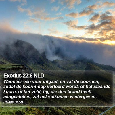 Exodus 22:6 NLD Bible Verse Image