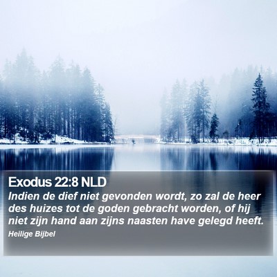 Exodus 22:8 NLD Bible Verse Image