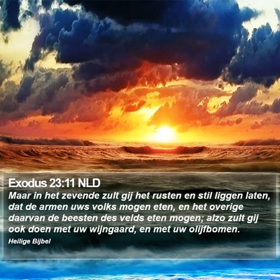 Exodus 23:11 NLD Bible Verse Image
