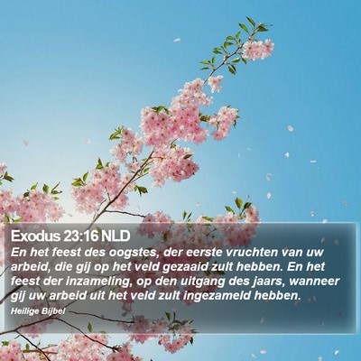 Exodus 23:16 NLD Bible Verse Image
