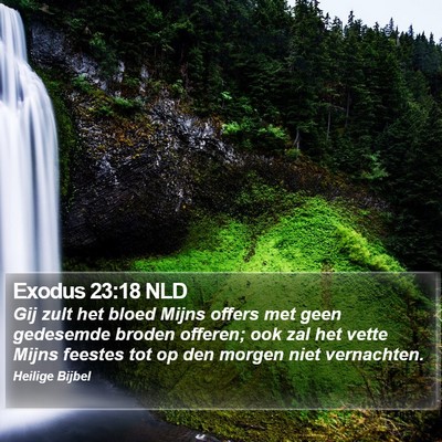 Exodus 23:18 NLD Bible Verse Image