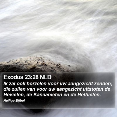 Exodus 23:28 NLD Bible Verse Image