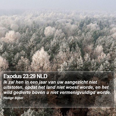 Exodus 23:29 NLD Bible Verse Image