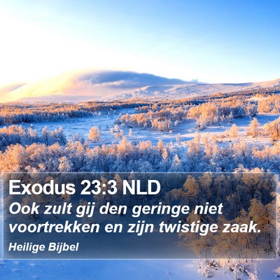 Exodus 23:3 NLD Bible Verse Image