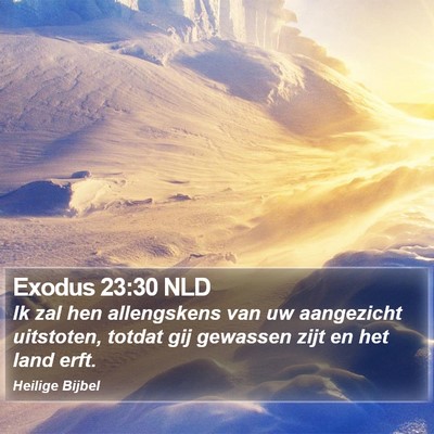 Exodus 23:30 NLD Bible Verse Image