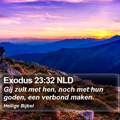 Exodus 23:32 NLD Bible Verse Image