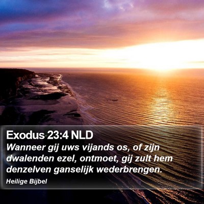 Exodus 23:4 NLD Bible Verse Image