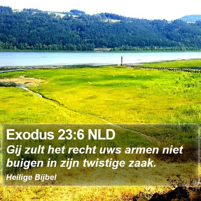 Exodus 23:6 NLD Bible Verse Image