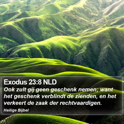 Exodus 23:8 NLD Bible Verse Image
