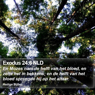 Exodus 24:6 NLD Bible Verse Image