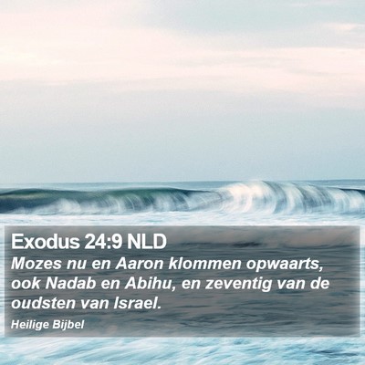Exodus 24:9 NLD Bible Verse Image