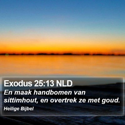 Exodus 25:13 NLD Bible Verse Image