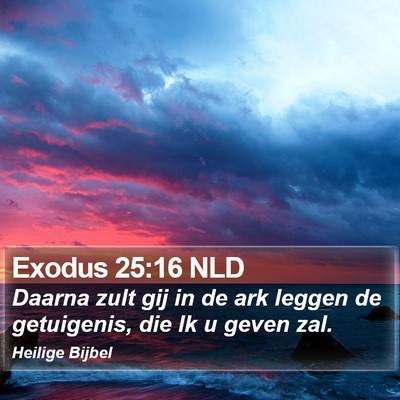 Exodus 25:16 NLD Bible Verse Image