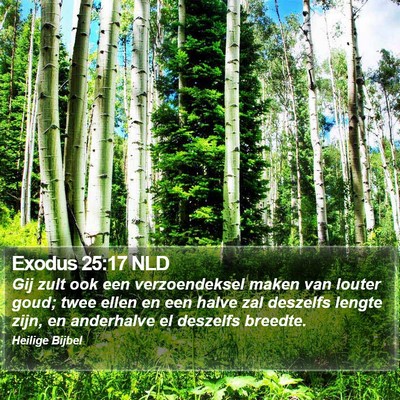 Exodus 25:17 NLD Bible Verse Image