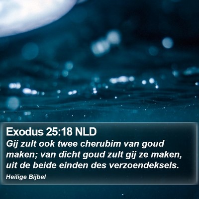 Exodus 25:18 NLD Bible Verse Image