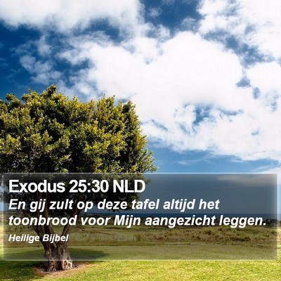 Exodus 25:30 NLD Bible Verse Image